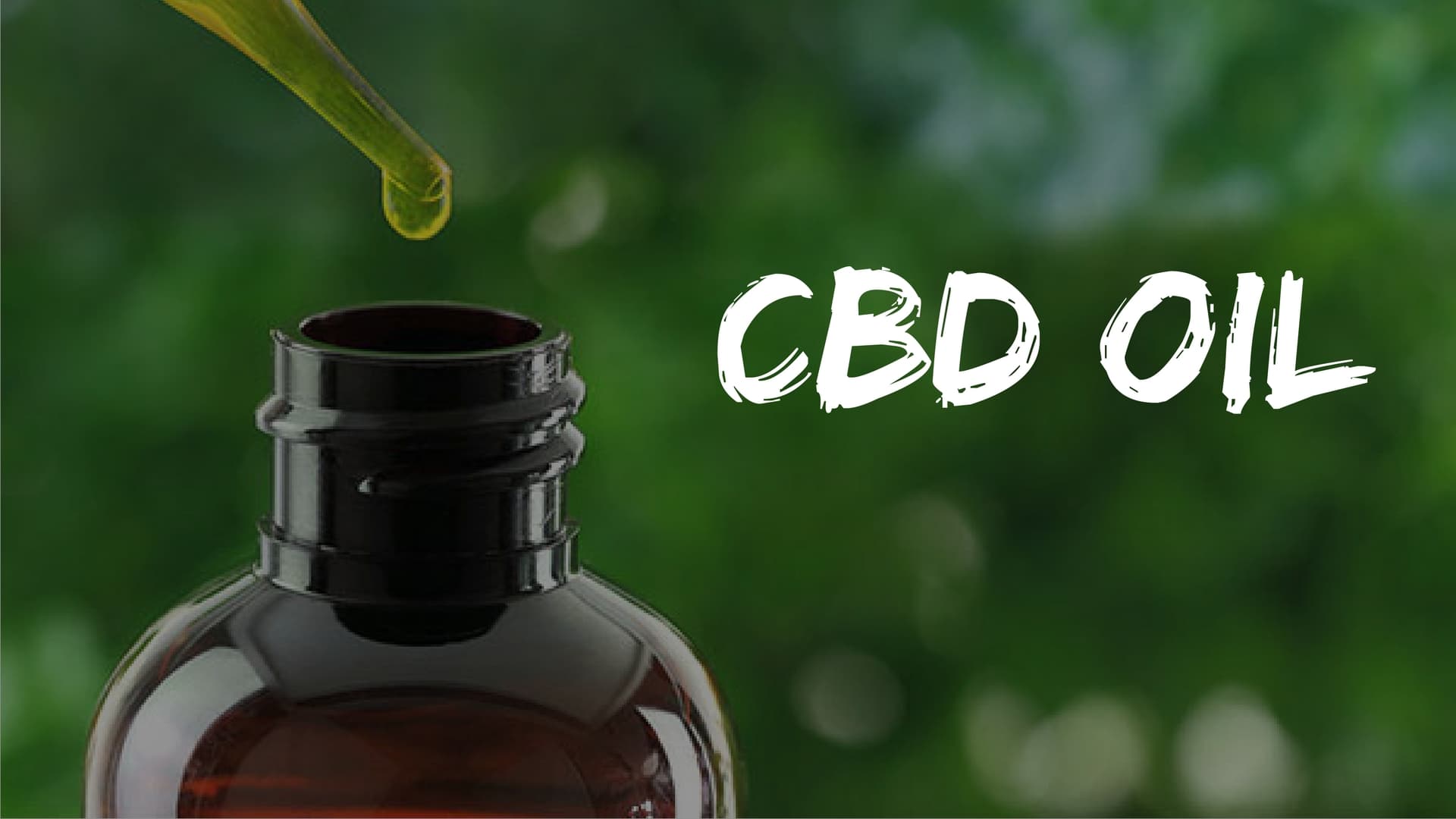Learn How To Get The Best Quality CBD Oil.